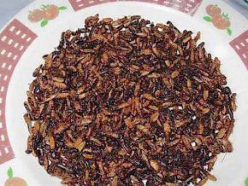 Did you know that Cameroonians like fried termites?