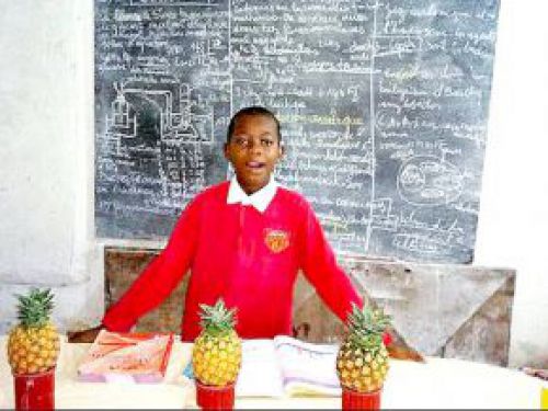 Has 10-year old Jean-Pierre Essombe Mabingo, Cameroonian genius, really passed probationary exam?
