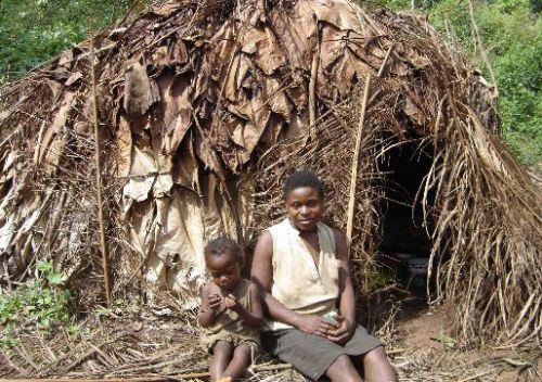 Il parait que l’Ong WWF est accusée de spolier les pygmées Baka au Cameroun. Vrai ?