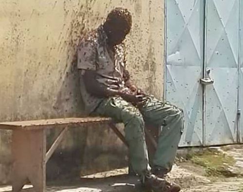 Oui, l’homme assailli par des abeilles à Douala a rendu l’âme