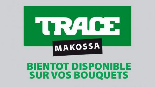 Is the Trace group really planning to launch Trace Makossa?