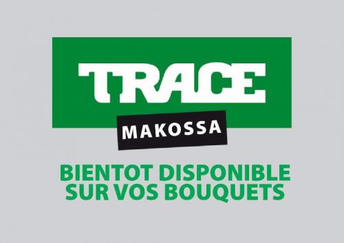 Le groupe Trace prévoit-t-il de lancer la chaîne Trace Makossa?