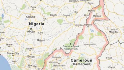 Has Cameroon really closed its borders with Nigeria?