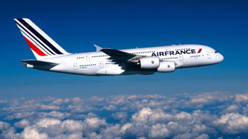 Air France interdit-il dans ses vols les sacs en fibre plastique communément au Cameroun « Mbandjock » ?