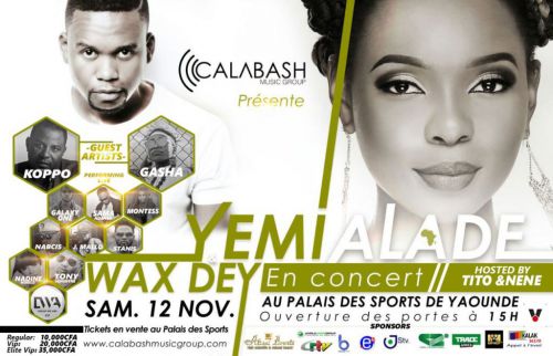 Yemi Alade paid 85 million for Cameroon concert