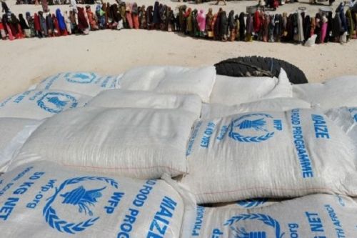 Le HCR et le PAM alertent sur un risque d’interruption de l’aide humanitaire au Cameroun, faute d’argent