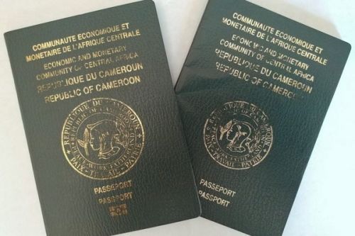 Henley Passport Index 2023: Cameroon gains 9 places in ranking