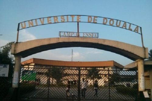 University of Douala: Lecturers demand the fulfillment of some “prerequisites” before uploading their courses online