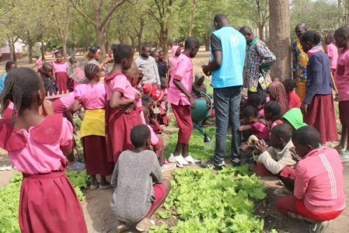 Sécurité alimentaire : le Feicom annonce un financement de 776 millions de FCFA pour développer les jardins scolaires