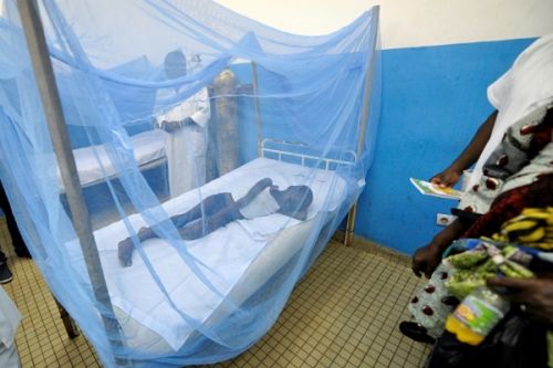 Un Fonds national pour l’élimination du paludisme, première cause de morbidité et de mortalité au Cameroun
