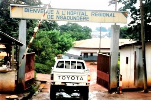 Hémodialyse : Ngaoundéré bientôt dotée d’un centre, 15 ans après la promesse du chef de l’État