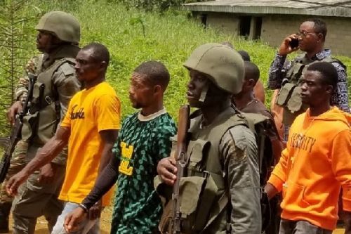 Cameroon: About 20 separatist fighters surrender