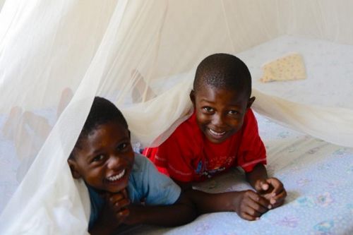 Paludisme : le Cameroun va recevoir des doses du nouveau programme de vaccination (OMS)