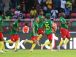 Mondial 2022 : les Camerounais divisés sur la prestation des Lions indomptables