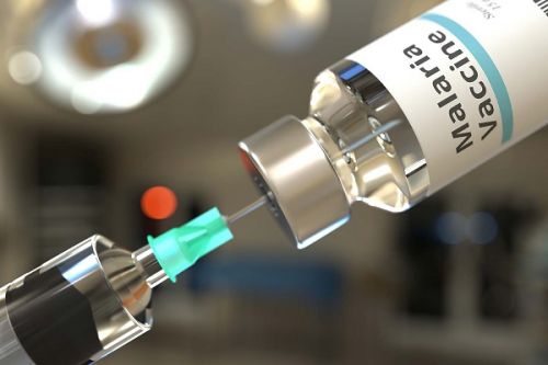 Le Cameroun prépare une demande d’aide à GAVI pour déployer le vaccin antipaludique dans le pays