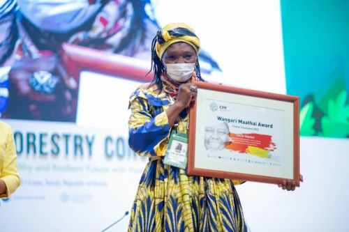 Protection de l’environnement : Cécile Ndjebet, première Camerounaise à remporter le prix Wangari Maathai