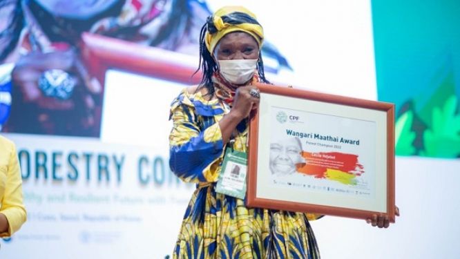protection-de-l-environnement-cecile-ndjebet-premiere-camerounaise-a-remporter-le-prix-wangari-maathai