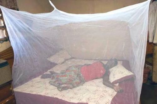 malaria-ministry-of-health-claims-100-mosquito-net-distribution-in-5-regions