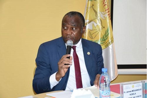 La Commission des droits de l’homme déplore l’accentuation des inégalités au Cameroun