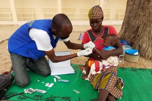 Cameroon remains a high-burden malaria country (report)