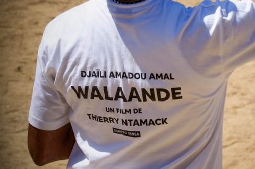 Cinéma : l’adaptation de Walaande, le roman de Djaïli Ahmadou Amal, arrive bientôt en salle