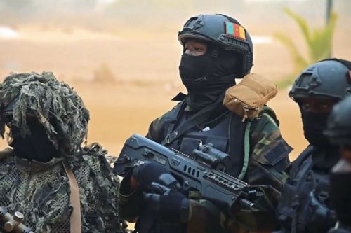 Lutte contre le terrorisme : le Cameroun se met à l’école turque