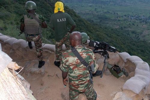 CIA Report Details Cameroonian Military Numbers, Equipment