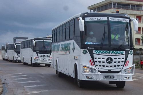 Intercity transport: Touristique Express suspended again after another fatal accident