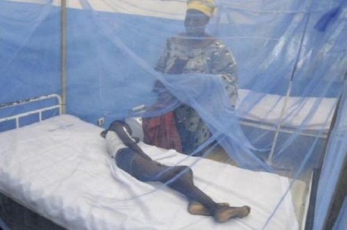 La mortalité due au paludisme chute de 11 % en quatre ans au Cameroun