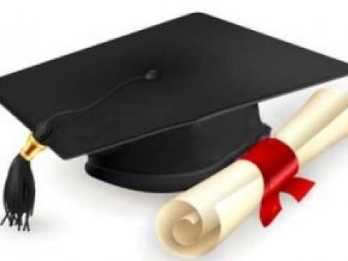 Yes, the percentage of fake diploma is decreasing in Cameroon