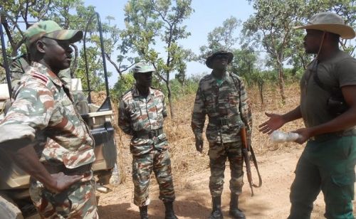 L’armée intensifie les opérations de ratissage du parc national de la Bénoué, considéré comme un sanctuaire de l’insécurité