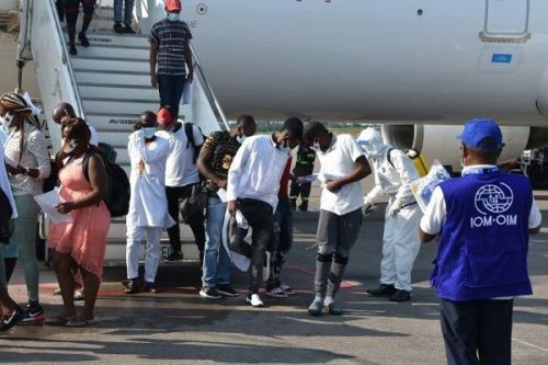 IOM helped over 5,600 illegal Cameroonian immigrants return home in 5 years