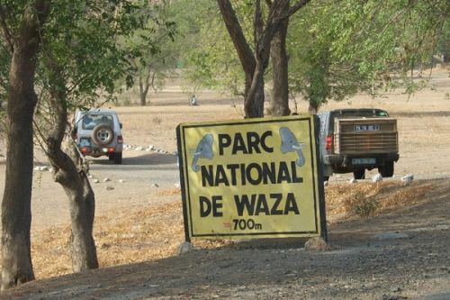 Waza : Mission de sauvetage annoncée au parc qui se vide de ses essences forestières et de sa faune