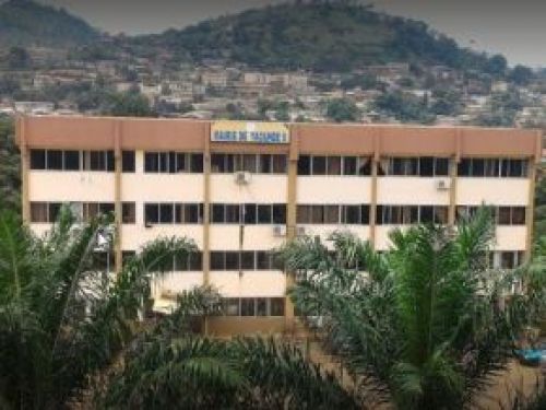 Cameroonian govt plans experimental project to digitize civil status records in Yaoundé