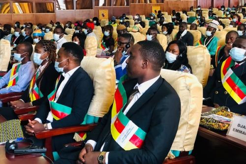 Assemblée nationale : le « Parlement de la jeunesse » déplore la faible valorisation du « Made in Cameroon »