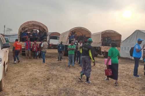 Extrême-Nord : près de 5000 réfugiés nigérians du camp de Minawao désirent rentrer chez eux