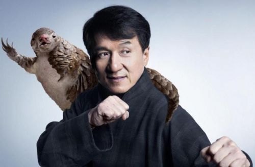Will Jackie Chan really be in Cameroon?