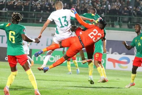 Mondial 2022 : l’Algérie saisit la FIFA pour invalider la qualification du Cameroun