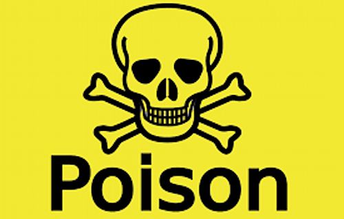 Oui, de l&#039;engrais toxique est utilisé dans la fabrication du potassium traditionnel à Yagoua, dans l&#039;Extrême Nord du Cameroun
