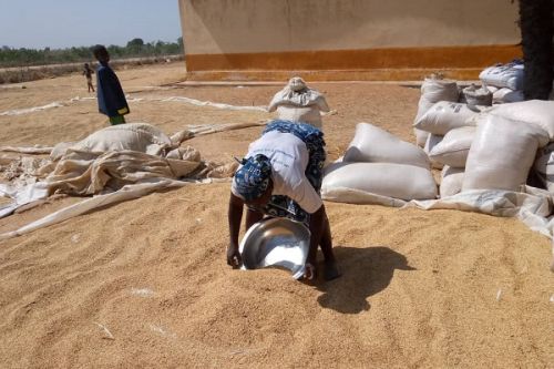 Sécurité alimentaire : les sorties de céréales de l’Extrême-Nord interdites