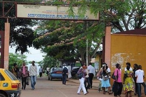 University of Yaoundé 1: Science Graduates invited to retrieve their diplomas