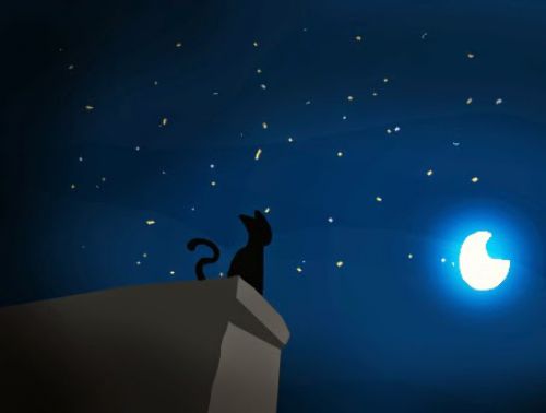 Are the nocturnal cries of a cat a bad omen?