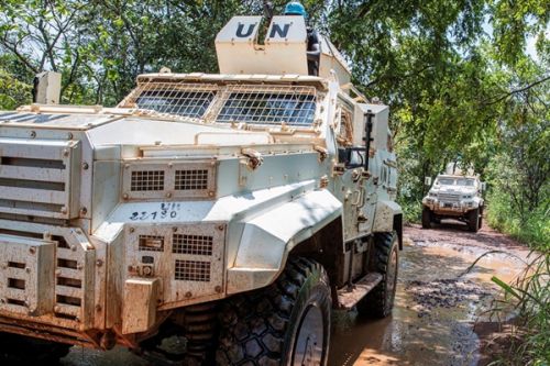 France Condemns Attack That Killed Cameroonian Peacekeeper in Central African Republic