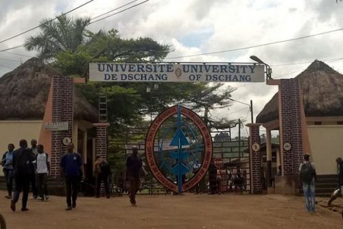 Higher education: Dschang University recorded an 85% passing rate in the 2019-2020 academic year