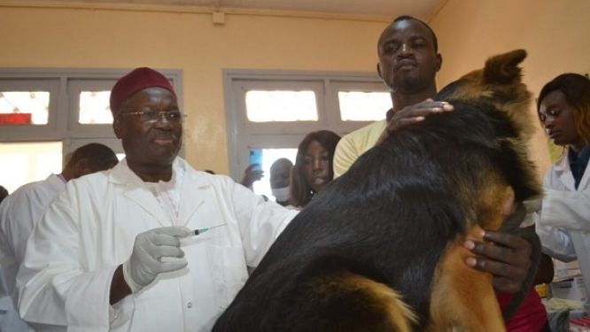 sante-publique-le-cameroun-vaccine-les-animaux-pour-proteger-les-humains-contre-la-rage