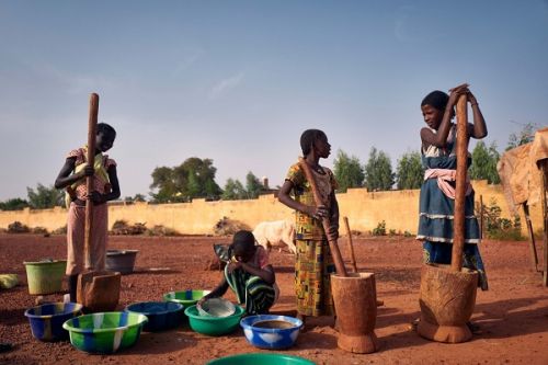 Cameroun : plus de 3 millions de personnes en situation de crise alimentaire