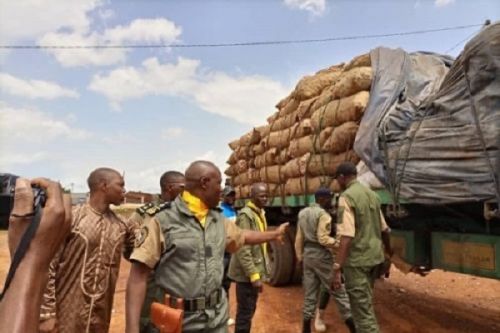 Trafics illicites : la douane camerounaise multiplie la saisie des produits de contrebande