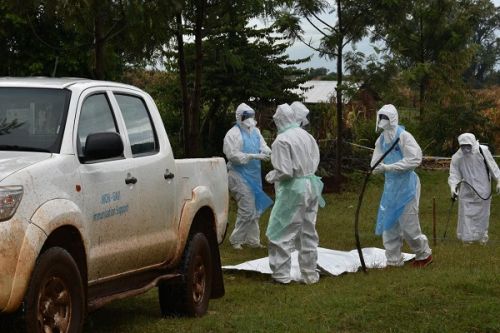 Maladie à virus de Marburg : le gouvernement équato-guinéen déclare la fin de l’épidémie