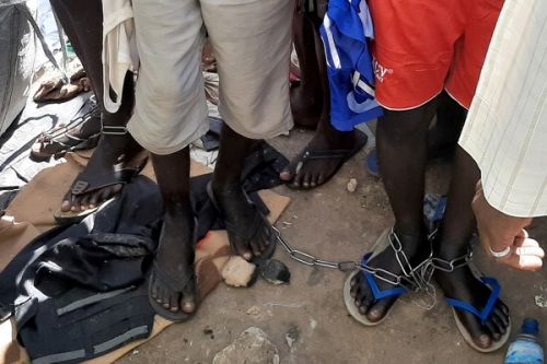 Ngaoundéré : libération de 70 jeunes détenus et torturés dans une école coranique