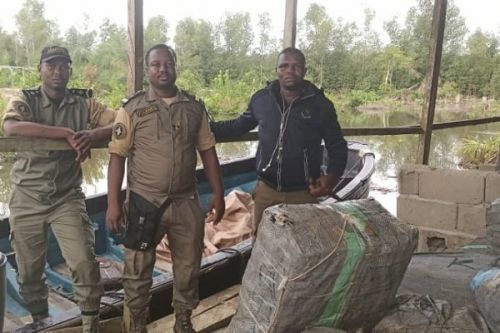 Douala : la Douane saisit une tonne de médicaments de contrebande en provenance du Nigeria